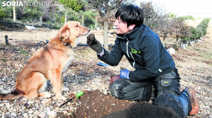 Una recolectora con su perro tras cazar una trufa. /SN