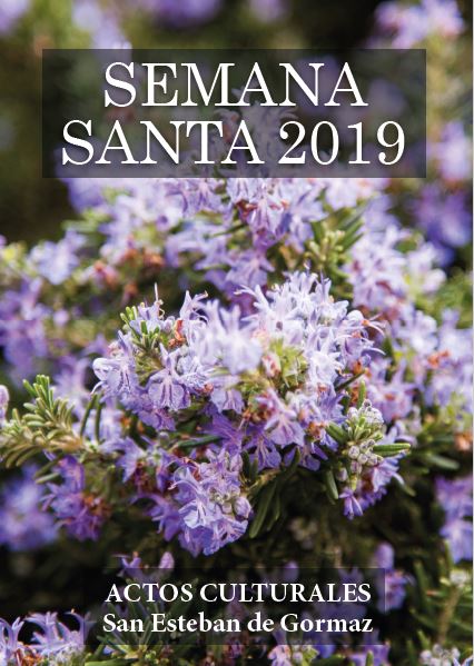 Concierto de música sacra en San Esteban este sábado