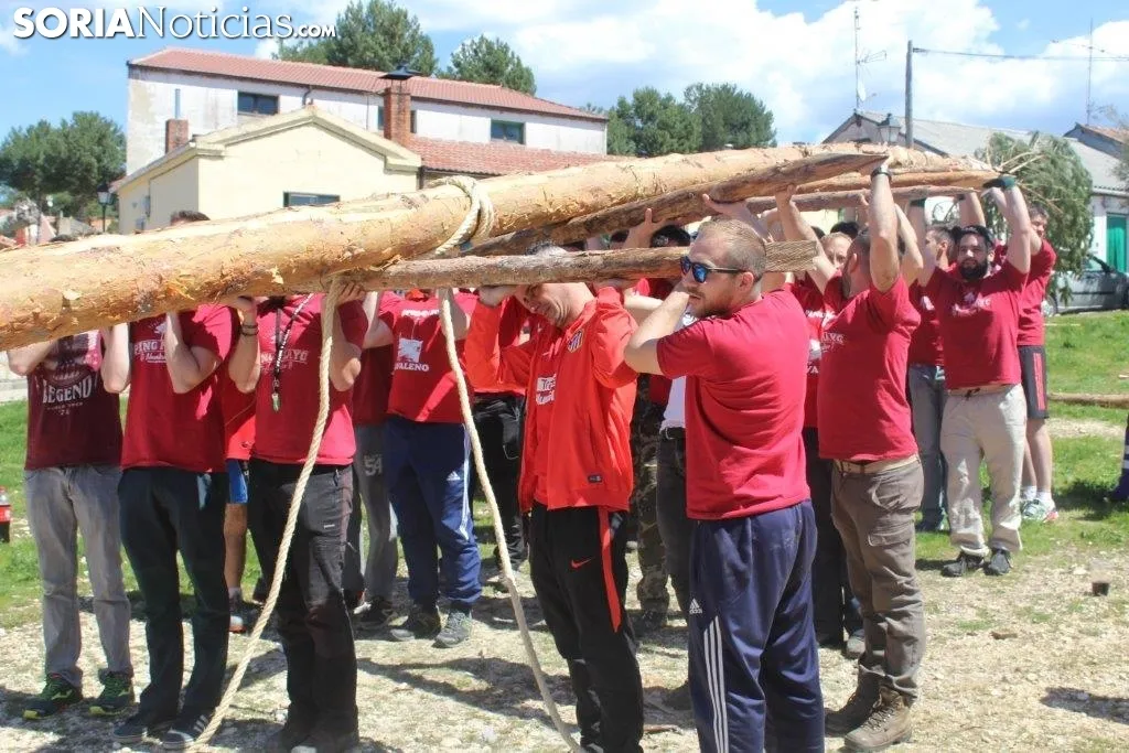 Foto 10 - El Pino Mayo de Navaleno permanece ya erguido con la banderola de 'Soria Ya'