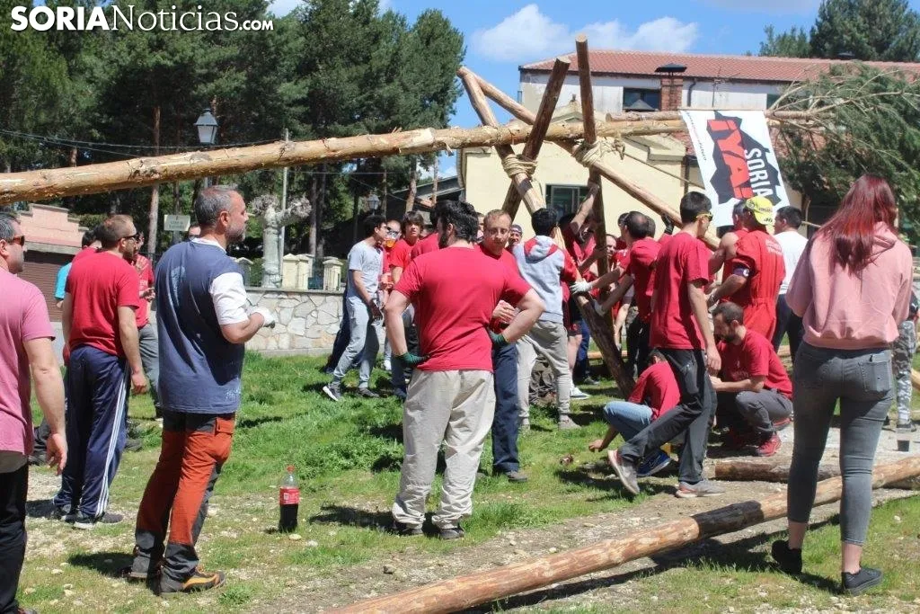 Foto 9 - El Pino Mayo de Navaleno permanece ya erguido con la banderola de 'Soria Ya'