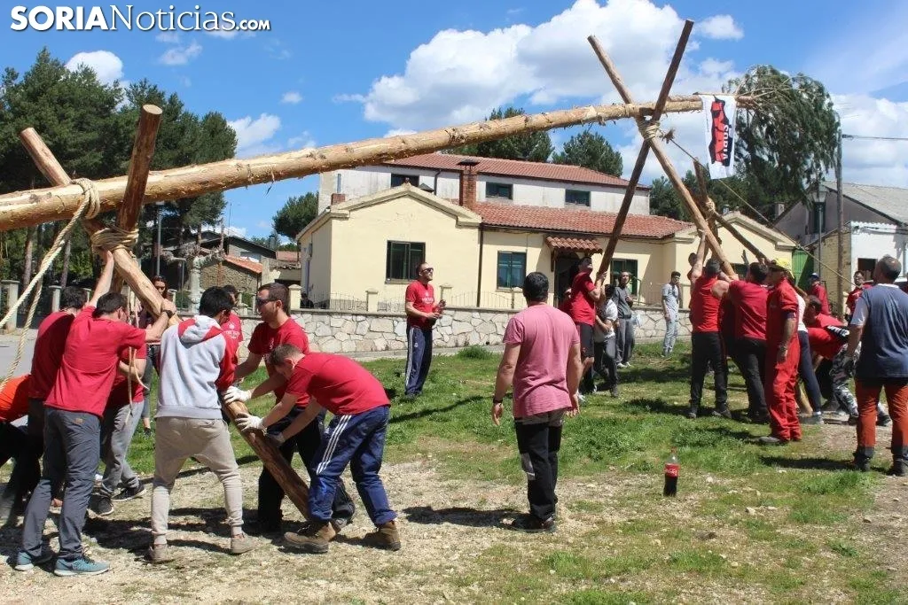 Foto 7 - El Pino Mayo de Navaleno permanece ya erguido con la banderola de 'Soria Ya'