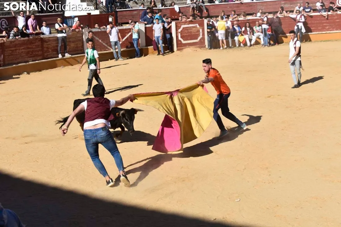 Suelta de vaquillas del Interpeñas 2019.