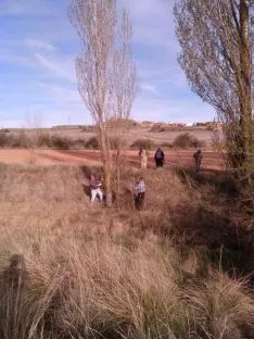 Foto 12 - &iexcl;Arriba el mayo! Fotos y cr&oacute;nica: Quintanilla de Tres Barrios
