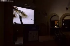Una de las imágenes de la gala anual de FOES. /SN