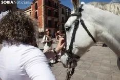 Feria Abril / María Ferrer