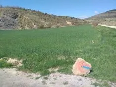 Una de las imágenes que dejaba la jornada. 