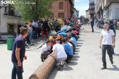 Pingada del Pino Mayo en San Leonardo.