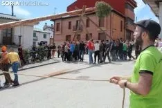 Pingada del Pino Mayo en San Leonardo.