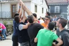 Pingada del Pino Mayo en San Leonardo.
