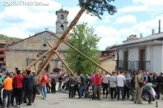 Pingada del Pino Mayo en San Leonardo.
