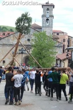 Pingada del Pino Mayo en San Leonardo.