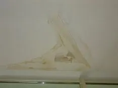 Una imagen de las instalaciones remitida por la AMPA. 