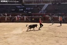 Suelta de vaquillas del Interpeñas 2019.