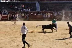 Suelta de vaquillas del Interpeñas 2019.