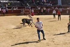 Suelta de vaquillas del Interpeñas 2019.