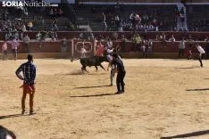 Suelta de vaquillas del Interpeñas 2019.
