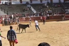 Suelta de vaquillas del Interpeñas 2019.