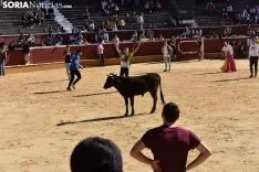 Suelta de vaquillas del Interpeñas 2019.