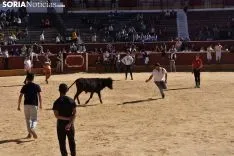 Suelta de vaquillas del Interpeñas 2019.