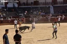 Suelta de vaquillas del Interpeñas 2019.