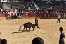 Suelta de vaquillas del Interpeñas 2019.