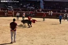 Suelta de vaquillas del Interpeñas 2019.