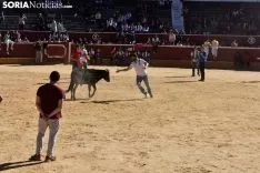 Suelta de vaquillas del Interpeñas 2019.