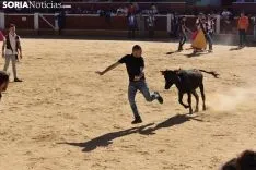 Suelta de vaquillas del Interpeñas 2019.
