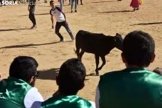 Suelta de vaquillas del Interpeñas 2019.