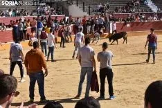 Suelta de vaquillas del Interpeñas 2019.