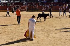 Suelta de vaquillas del Interpeñas 2019.