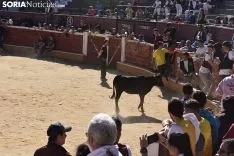 Suelta de vaquillas del Interpeñas 2019.