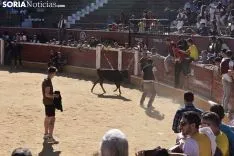 Suelta de vaquillas del Interpeñas 2019.