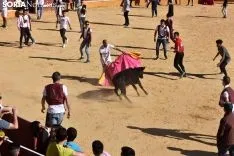 Suelta de vaquillas del Interpeñas 2019.