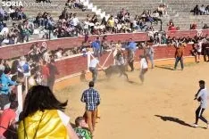 Suelta de vaquillas del Interpeñas 2019.