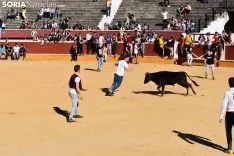 Suelta de vaquillas del Interpeñas 2019.