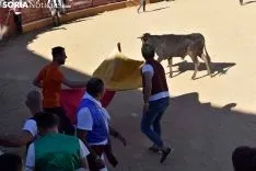 Suelta de vaquillas del Interpeñas 2019.