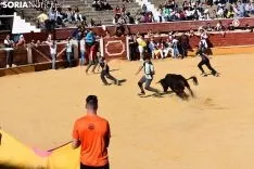 Suelta de vaquillas del Interpeñas 2019.
