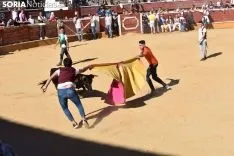 Suelta de vaquillas del Interpeñas 2019.