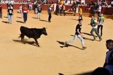 Suelta de vaquillas del Interpeñas 2019.