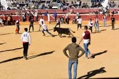 Suelta de vaquillas del Interpeñas 2019.