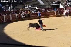 Suelta de vaquillas del Interpeñas 2019.
