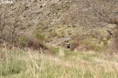 V Pataliebre Trail.