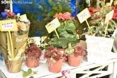 Domingo en la Feria de Muestras