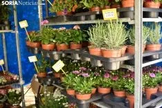 Domingo en la Feria de Muestras