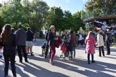 Cierre de Campaña 26M.