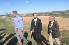 Foto 4 - El Torrezno de Soria enamora al Ministro de Japón en España en su estancia en Gormaz