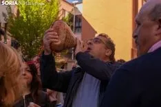Catapan 2019 /Jasmín Malvesado