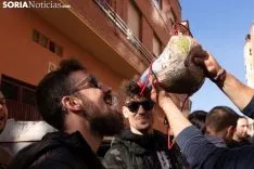 Catapan 2019 /Jasmín Malvesado