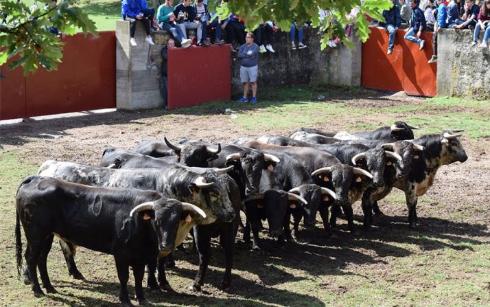 Comienza la fiesta en Valonsadero. Todo preparado para el Desencajonamiento